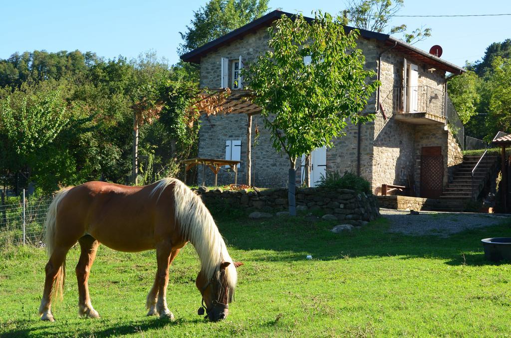 Locanda Di Campagna Bed & Breakfast Mulazzo Ngoại thất bức ảnh